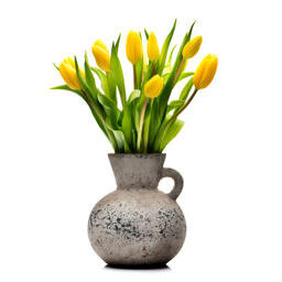 Gelbe Tulpen