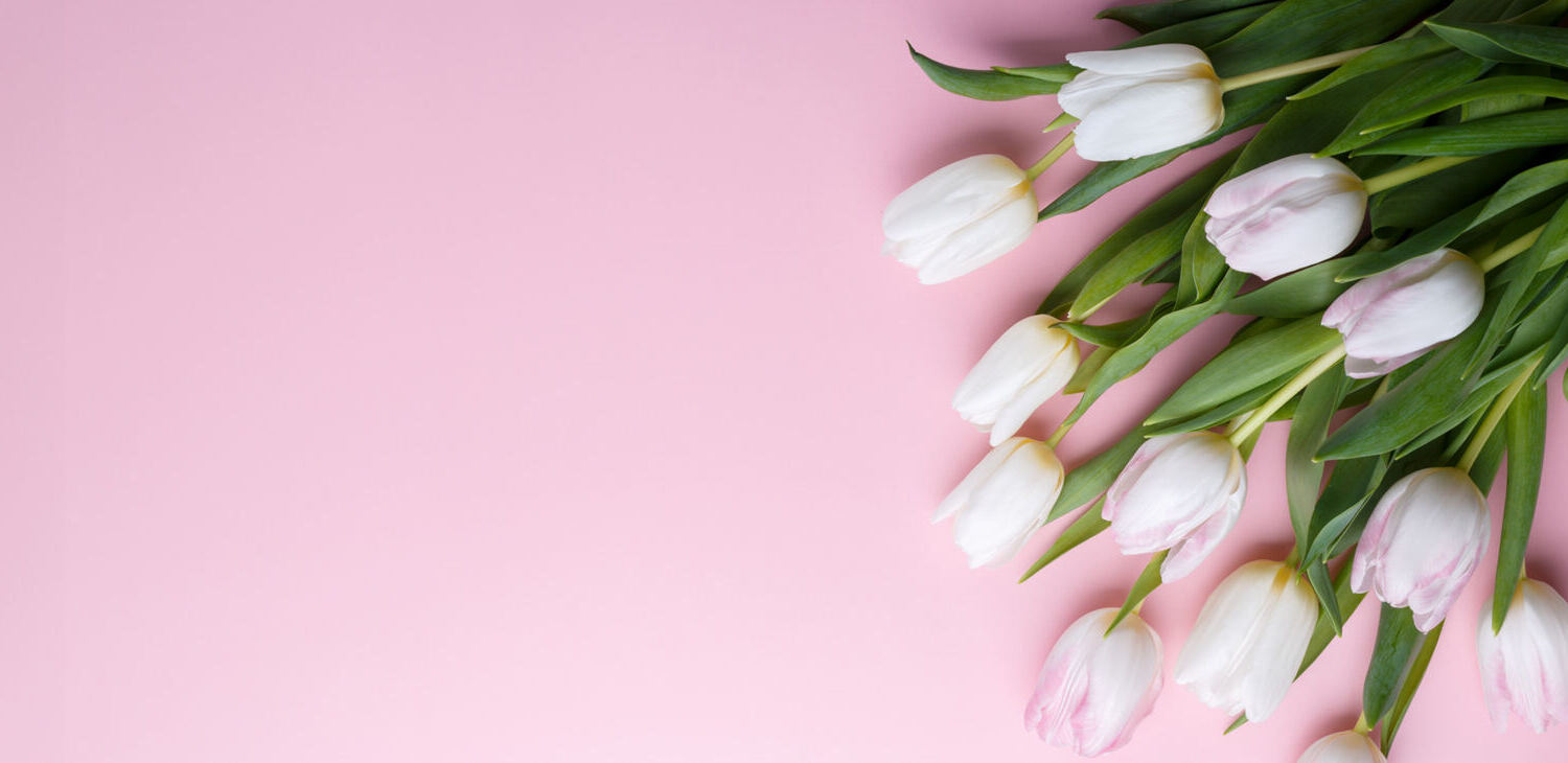 Blumen und Pflanzen